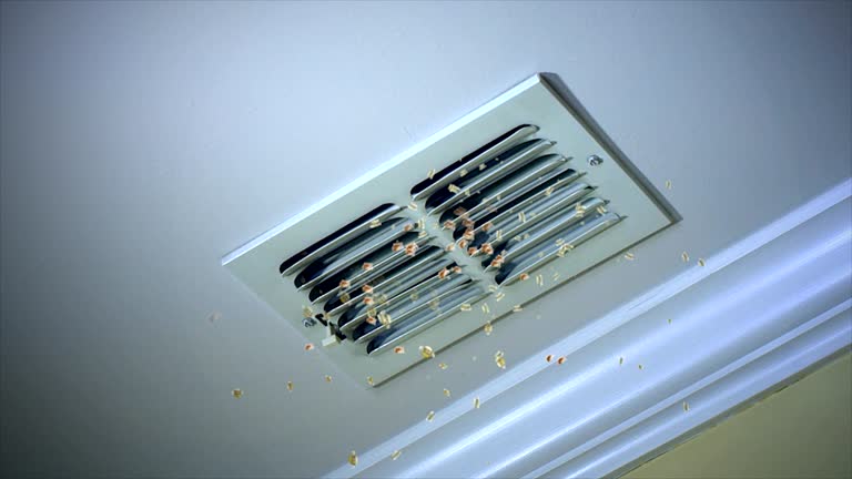 Best Ductwork Cleaning Services  in Georgetown, DE