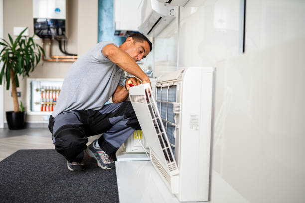Air Duct Mold Removal in Georgetown, DE